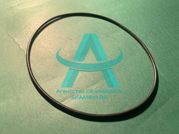 Уплотнительное кольцо Waitzinger WAI102448