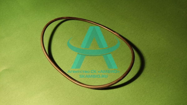 Уплотнительное кольцо SANY A210609000274