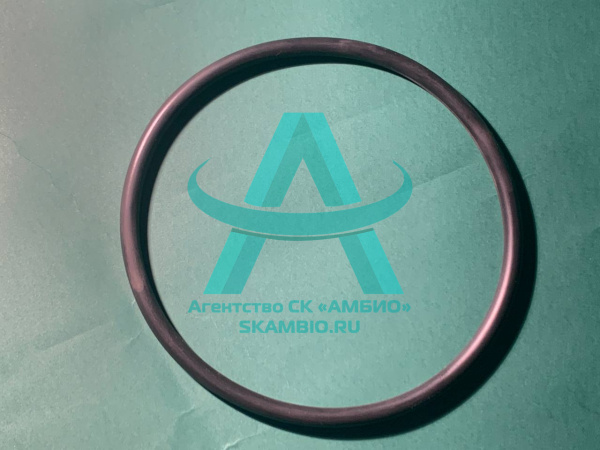 Уплотнение под первое колено Waitzinger WAI103563