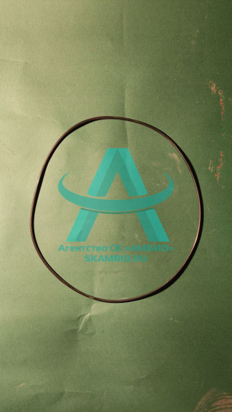 Уплотнительное кольцо Sermac 2271300