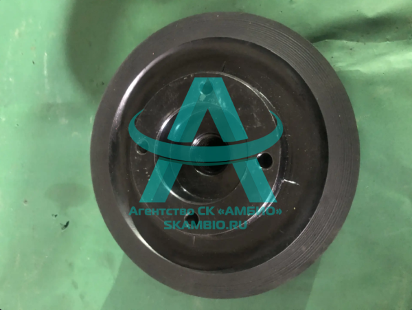 Поршень Waitzinger DN230 WAI100175